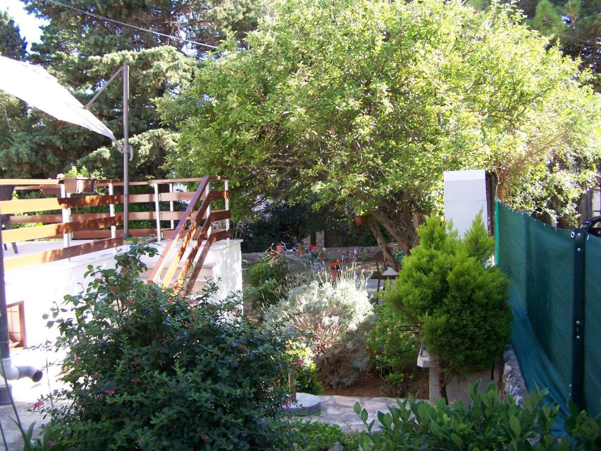 Apartments Sestan Novalja Ngoại thất bức ảnh